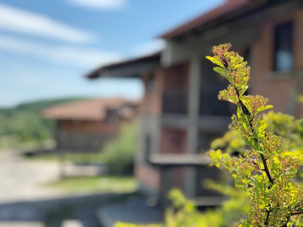 Hotel Pietrapanna Calvello Zewnętrze zdjęcie